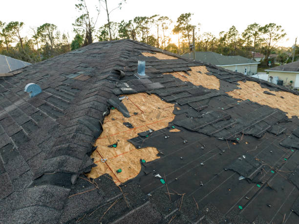 Steel Roofing in Upper Lake, CA