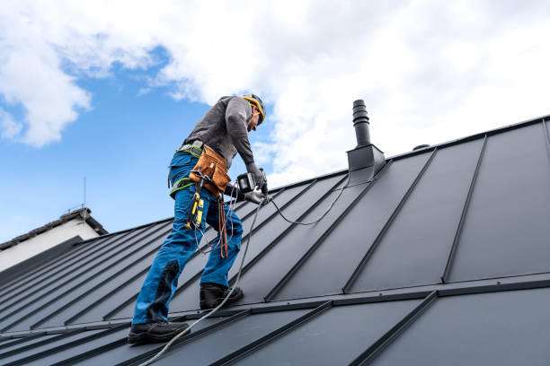 Best Roof Moss and Algae Removal  in Upper Lake, CA